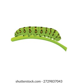 Eine lebendige Vektorgrafik einer grünen Raupe mit subtilen gelben Akzenten, die in einem sauberen und minimalen Stil gestaltet ist. Dieses Insektenkunstwerk hebt die Frühphase des Lebenszyklus der Schmetterlinge hervor und eignet sich daher ideal für Lehrmaterialien, Biologieinhalte, Entomologiestudien, Projekte zum Thema Natur und Umweltdesign. Die glatte Linienführung und die kräftigen Farben schaffen eine visuell ansprechende Darstellung einer Raupe, die sich für Infografiken, Lernressourcen für Kinder, Tierpublikationen und naturorientiertes Grafikdesign eignet.