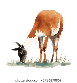 Vibrant vector illustration of a guanaco grazing, perfect for wildlife education, nature designs, or South American travel themes.