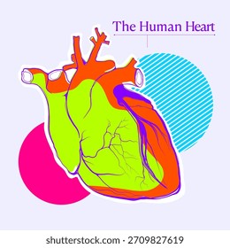 Una vibrante Ilustración vectorial del corazón humano creada en un estilo moderno de arte pop. La obra de arte presenta Formas anatómicas detalladas combinadas con colores de neón audaces y Elementos de fondo geométricos, ma