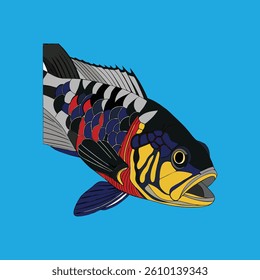 ​A vibrant vector illustration of a Peacock Bass, showcasing its striking colors and distinctive markings.