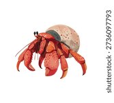 Vibrant vector illustration of a red hermit crab, a fascinating marine animal. Ideal for educational content, ocean life, and summer designs.