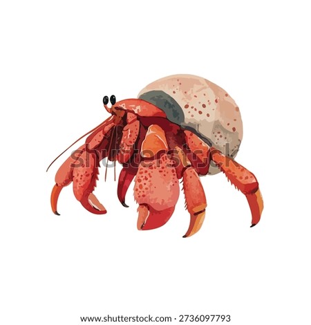 Vibrant vector illustration of a red hermit crab, a fascinating marine animal. Ideal for educational content, ocean life, and summer designs.