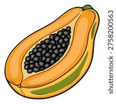 Vibrant vector illustration of a ripe papaya half with glossy black seeds and smooth orange flesh, isolated on white.
