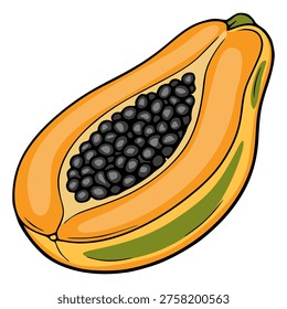 Vibrant vector illustration of a ripe papaya half with glossy black seeds and smooth orange flesh, isolated on white.