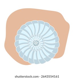 Uma ilustração vetorial vibrante de uma concha, destacando suas curvas delicadas e charme costeiro para projetos temáticos de praia

