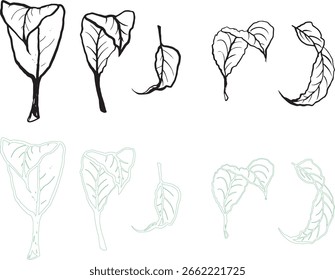 Un conjunto de Ilustraciones vectoriales vibrantes, incluyendo un diseño floral abstracto decorativo con Elementos de rosas y hojas