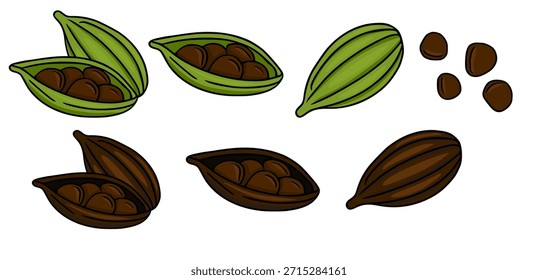 Eine lebendige Vektorgrafik, die ganze und gespaltene Kardamom-Hülsen zeigt, die aromatische Samen enthüllen, die sowohl in frischen grünen als auch in reichen Brauntönen präsentiert werden.
