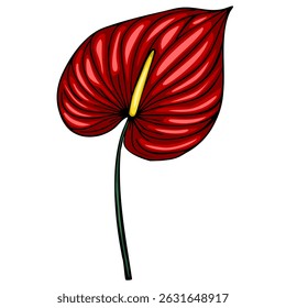 Vibrant vector illustration of a single Anthurium flower with deep red petals and a yellow spadix, showcasing detailed hand-drawn style and bold color contrast.