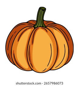 Una vibrante Ilustración vectorial de una sola calabaza madura con un estilo detallado y dibujado a mano, que muestra su suave piel naranja y segmentos definidos, sobre un fondo blanco limpio.