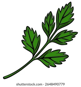 Uma ilustração vetorial vibrante de um único ramo de salsa, apresentando folhas detalhadas com um estilo desenhado à mão e tons verdes ricos, perfeito para projetos culinários ou botânicos.
