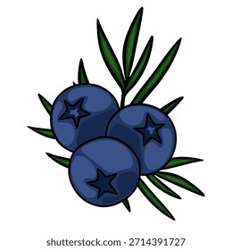Una vibrante Ilustración vectorial de tres arándanos azules regordetes y de color azul oscuro con distintos cálices en forma de estrella, enclavados entre hojas esbeltas y de color verde intenso sobre un fondo blanco limpio, evocando un...