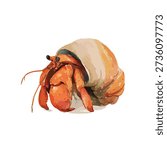 Vibrant vector illustration of a tropical hermit crab in its shell. Ideal for marine life, beach, and educational projects.
