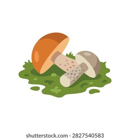 A vibrant vector illustration of two wild mushrooms growing on moss