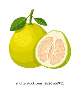 A vibrant vector illustration of a whole yellow pomelo fruit with green leaves next to a halved pomelo slice showing the pink pulp