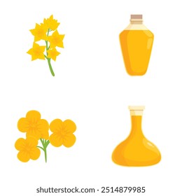 Vibrant vector set featuring canola blooms and bottles of canola oil