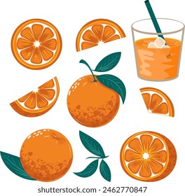 A vibrant vector set featuring various orange slices, whole oranges, and juice splashes, perfect for stock imagery with high commercial appeal.