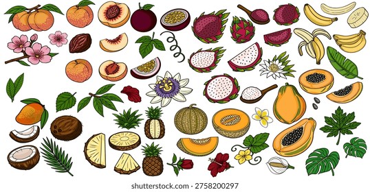 Vibrant vector set of tropical fruits and flowers, isolated on white background