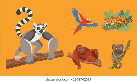 A vibrant vector sheet collection featuring five distinct tropical forest animals: a ring-tailed lemur, a colorful parrot, a jaguar, an orangutan, and a mouse lemur. Each animal is stylized with brigh