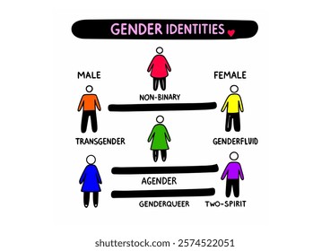 A vibrant visual guide to the spectrum of gender identities.  Exploring the diverse ways individuals experience their gender.  