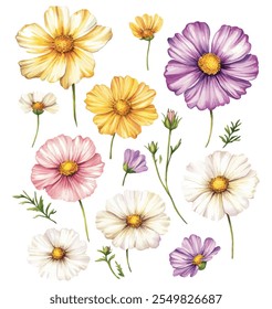 Uma vibrante coleção de aquarelas de flores silvestres em tons de amarelo, roxo, rosa e branco, acentuado com delicado verde no branco.
