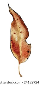 A vibrant watercolor illustration of an autumn leaf with a textured, mottled appearance, symbolizing change and transformation.