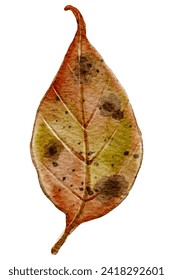 A vibrant watercolor illustration of an autumn leaf with a textured, mottled appearance, symbolizing change and transformation.