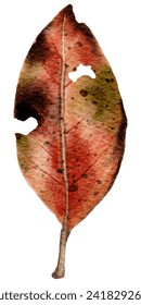 A vibrant watercolor illustration of an autumn leaf with a textured, mottled appearance, symbolizing change and transformation.