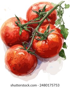 Vibrant watercolor painting of ripe, fresh tomatoes on the vine, showcasing their rich red color and natural beauty. Perfect for culinary, gardening, and health related themes