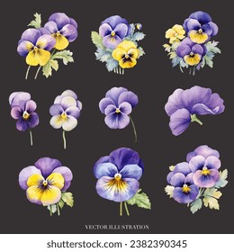 Vibrant Watercolor Pansy Flower Vector Illustration - Botanical Art 01