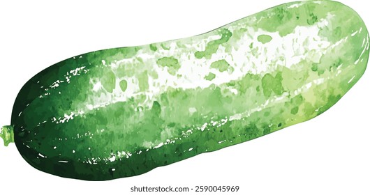 A Vibrant Watercolor vector illustrations of Cucumbers Surrounded by Flowers and Lush Leaves
