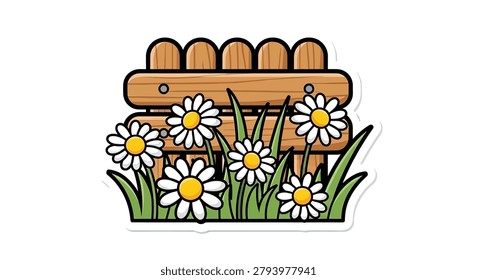 Vibrant white daisies with yellow centers