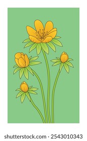 Vibrant Winter Aconite Flower Print, Colorful Floral Art with Green Leaves, Trendy Floral Posters, Hand drawn Botanical Illustration for Decor