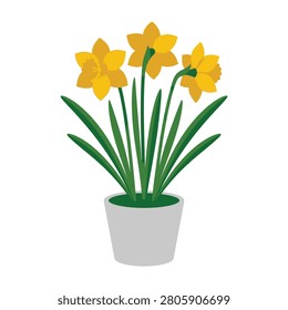 Vibrant yellow daffodils in a simple white pot, brightening up any room with their cheerful presence