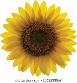 "Vibrant Yellow Gerbera Daisy: A Stunning Floral Portrait"