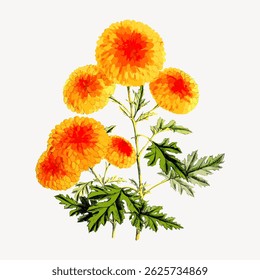 Vibrant yellow and orange flowers with lush green leaves. The flowers are round and full, showcasing a lively and colorful floral arrangement. Bright and cheerful flowers. Vintage flower vector.