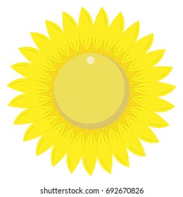 Vibrant yellow sunflower isolated in flat design