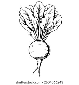 Vibrant Yellow Turnip Illustration Fresh Harvest Vegetable