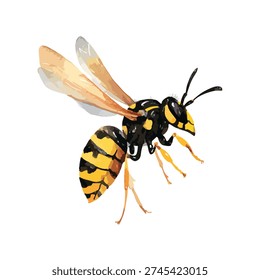 Vibrant yellowjacket wasp in flight, isolated on white. High-quality vector art perfect for nature, pest control, summer, or wildlife graphic design projects.