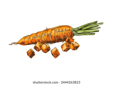 Vibrantly colored vector illustration showcasing a hand-drawn carrot with its leafy greens and diced pieces, ready for culinary use.