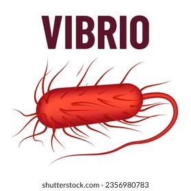 Vibrio bacteria vector illustration isolated on white background. Virus concept