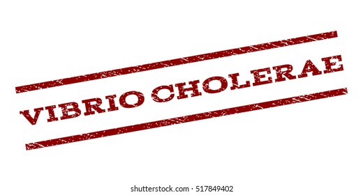 Vibrio Cholerae watermark stamp. Text caption between parallel lines with grunge design style. Rubber seal stamp with dirty texture. Vector dark red color ink imprint on a white background.