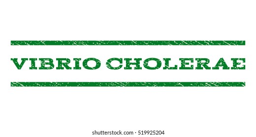 Vibrio Cholerae watermark stamp. Text tag between horizontal parallel lines with grunge design style. Rubber seal stamp with dirty texture. Vector green color ink imprint on a white background.