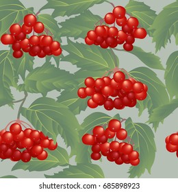 Viburnum
