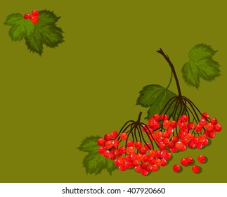viburnum berries