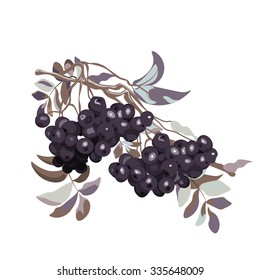 Viburnum berries branch stylized. Vector 