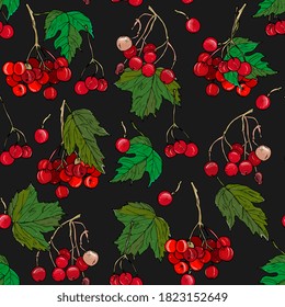 Viburnum berries and leaves seamless pattern. Forest natural background with red forest berries. Hand drawing. For the design of fabric, wallpaper, packaging, menu.