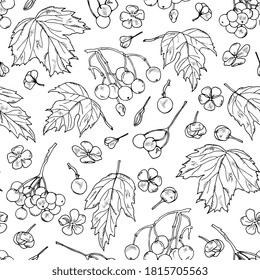 viburnum berries seamless autumn pattern. botanical sketch, outline. Hand drawing ink. For packaging, wallpaper, fabric, wrapping, invitations