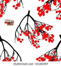 viburnum berries seamless background. Vector