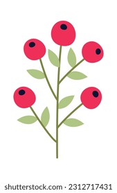 Viburnum Berry Branch Vector Illustration