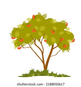 Viburnum berry bush vector illustration. Cartoon isolated silhouette with branches and trunk growing in green grass of garden or park, hanging bunches of ripe red berry fruit and leaves on twigs
